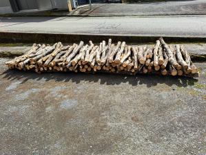 ����100�{�w�����܂���!(^^)!