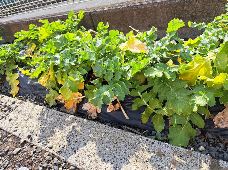 �卪���n!(^^)!