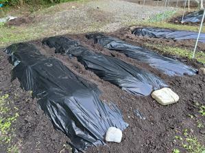 t؂͔̍|ɌāAĂѓn߂܂!(^^)!