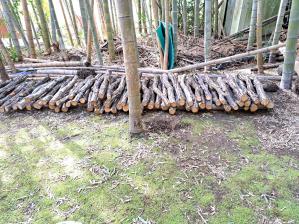 �ő����Ɍ��؂��^�т܂���(^^��