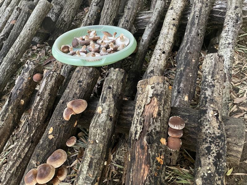 �ő����n(^^��