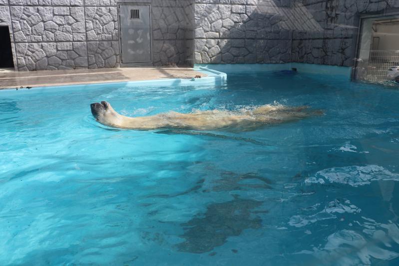 �e�q�������s���܂����B