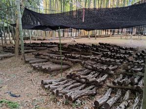 �ő��R���������܂���!(^^)!