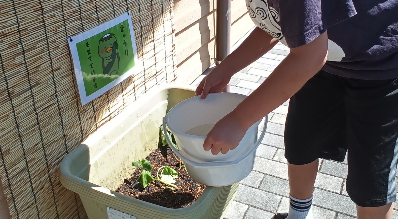 夏休み