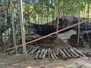 �ő��R�������ł��������ƂɁI�I