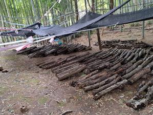 �ő��R���������܂���!(^^)!