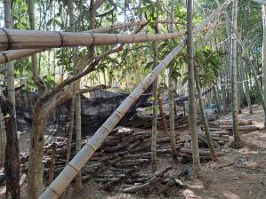 �ő��R�������ł��������ƂɁI�I