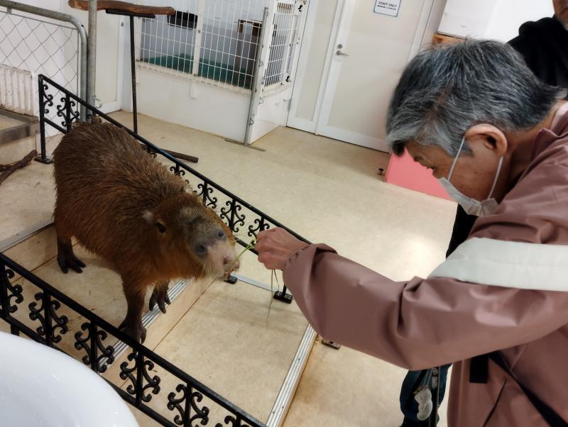 �A�j�^�b�`�łӂꂠ���̌�