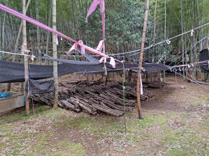 �ő��R���������܂���!(^^)!