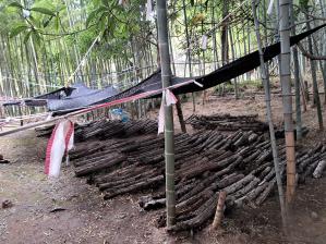 �ő��R���������܂���!(^^)!