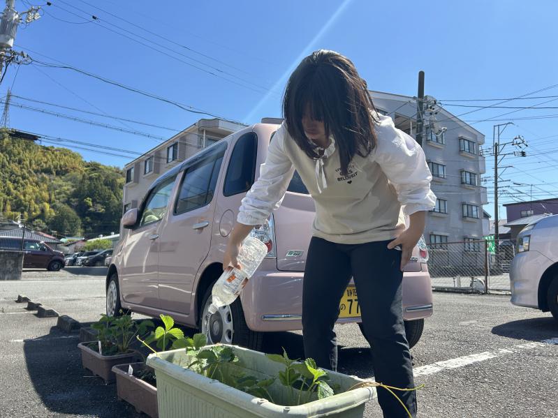 �V���ȏo�